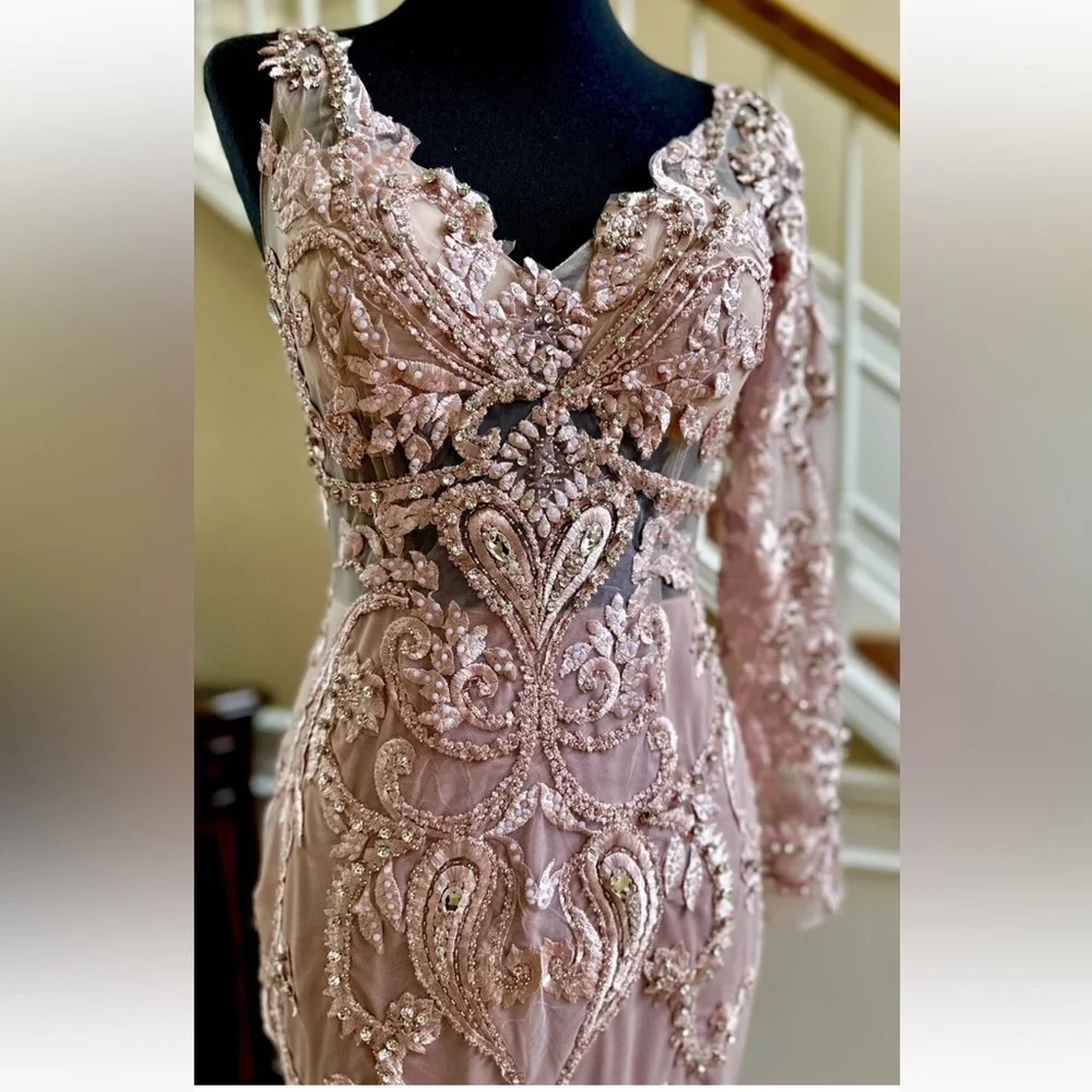 Portia and Scarlett Blush Long Sleeve Feather Fringed Embroidered Gown Size 6 - Picture 9 of 16